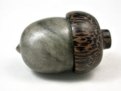LV-3364 Buckeye & Black Palm Acorn Jewelry Box, Pill Box, Trinket Box-SCREW CAP