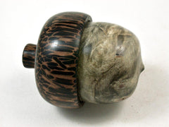 LV-3375   Buckeye Burl & Black Palm Acorn Pill Box, Engagement Ring Box-SCREW CAP