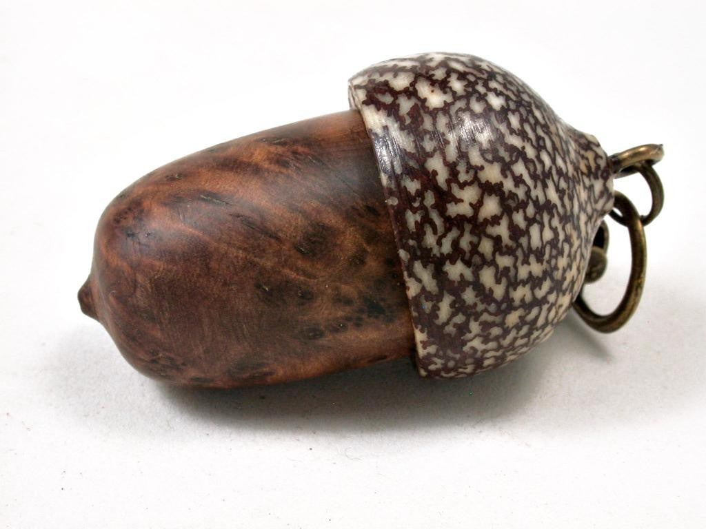 LV-3306 Morrocan Thuya Burl & Betelnut Acorn Pendant Box, Charm, Pill Holder-SCREW CAP