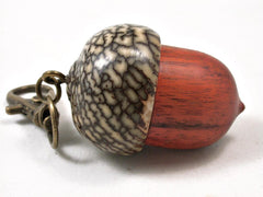 LV-3302 Sappanwood & Betelnut Acorn Pendant Box, Charm, Pill Holder-SCREW CAP