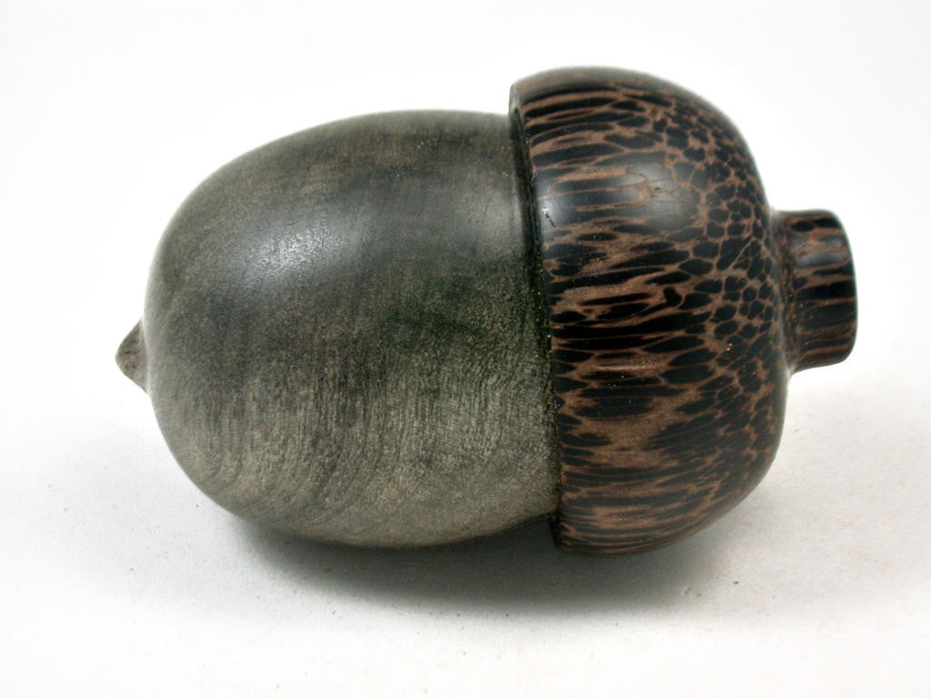 LV-3364 Buckeye & Black Palm Acorn Jewelry Box, Pill Box, Trinket Box-SCREW CAP