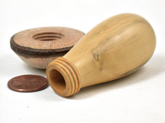 LV-3466 French Boxwood & Canyon Live Oak Mushroom Threaded Box, Pill Holder, Secret Compartment