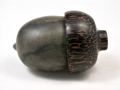 LV-3364 Buckeye & Black Palm Acorn Jewelry Box, Pill Box, Trinket Box-SCREW CAP