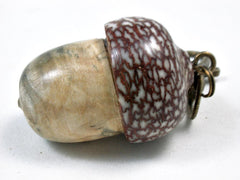 LV-3440 Acorn Pendant Box, Pill Fob from Buckeye Burl & Betel Nut-SCREW CAP
