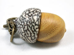 LV-3430 Osage Orange & Betel Nut Acorn Pendant Box, Keychain, Pill Fob-SCREW CAP