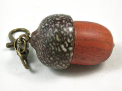 LV-3397 Sappanwood & Betelnut Acorn Pendant Box, Charm, Pill Holder-SCREW CAP
