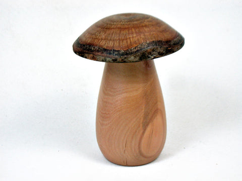 LV-3417 Red-Tip Photinia & Live Oak Wooden Mushroom Pill Box, Jewelry Box-SCREW CAP