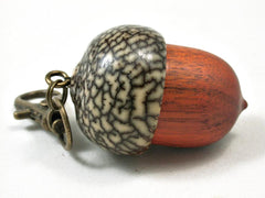 LV-3302  Sappanwood & Betelnut Acorn Pendant Box, Charm, Pill Holder-SCREW CAP