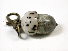 LV-2708 Buckeye Burl & Palm Nut Acorn Pendant Box-SCREW CAP