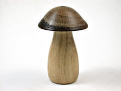 LV-3152 Persimmon & Coast Live Oak Mushroom Box, Pill Holder-THREADED