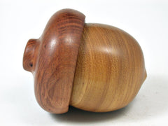 LV-2745 Argentine Osage & Sheoak Acorn Jewelry, Ring Box, Pill Box-SCREW CAP