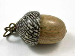 LV-2623 Verawood & Betelnut Acorn Pendant Box, Bag Charm, Keychain-SCREW CAP