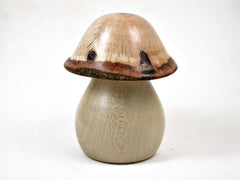 LV-3145 Holly & Live Oak Wooden Mushroom Trinket Box, Pill, Jewelry Box-THREADED