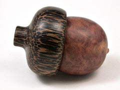 LV-2941 Wooden Acorn Jewelry, Ring Box, Pill Box from Red Mallee Burl & Black Palm-SCREW CAP