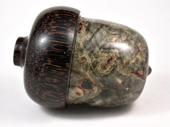 LV-2987 Buckeye Burl & Black Palm Large Acorn Pill Box, Jewelry Box, Keepsake-SCREW CAP