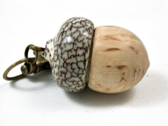 LV-3012 Masur Birch and Betel Nut Acorn Key Fob, Pill Holder, Memorial Pendant-SCREW CAP
