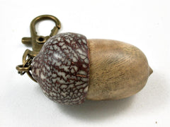 LV-2965 Oxhorn Bucida Burl & Betelnut Acorn Box, Pill Holder, Memorial Pendant-SCREW CAP