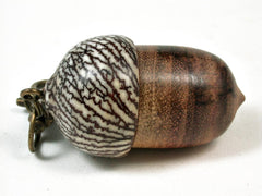LV-2949 Acorn Pendant Box, Cremation Jewelry from Canarywood & Betelnut-SCREW CAP