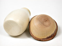 LV-2877 Holly & Live Oak Wooden Mushroom Trinket Box, Pill, Jewelry Box-THREADED CAP