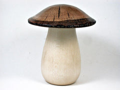 LV-3027 Holly & Live Oak Wooden Mushroom Trinket Box, Pill, Jewelry Box-THREADED