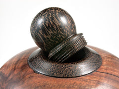 LV-2962 Curly Koa Threaded Vessel, Urn with Black palm Cap and Inlay Accent