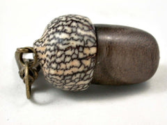 LV-3052 Blue Mahoe & Betelnut Acorn Box, Pill Holder, Compartment Pendant-SCREW CAP