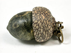 LV-2929 Acorn Pendant Box, Pill Fob from Buckeye Burl & Betel Nut-SCREW CAP