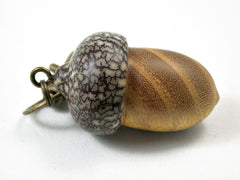 LV-3166 Osage Orange & Betelnut Acorn Box, Pill Holder, Compartment Pendant-SCREW CAP