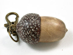 LV-2965 Oxhorn Bucida Burl & Betelnut Acorn Box, Pill Holder, Memorial Pendant-SCREW CAP