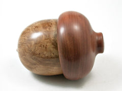 LV-2826 Brown Mallee Burl & Mulga Acorn Jewelry Box, Pill Box, Trinket Box-SCREW CAP