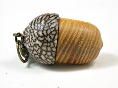 LV-2906 Osage Orange & Betel Nut Acorn Pendant Box, Keychain, Pill Fob-SCREW CAP