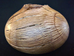 LV-0339 Palmer Oak Wood Turned Pot, Hollow Form, Vase with Natural Edge