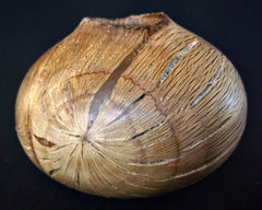 LV-0339 Palmer Oak Wood Turned Pot, Hollow Form, Vase with Natural Edge