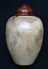 LV-408  New Zealand Ngaio Wood Turned Lidded Vase, Hollow Form, Wood Urn--RARE BEAUTY