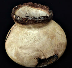 LV-345 CA Black Oak Burl Wood Turned Footed Vase, Hollow Form with Natural Edge