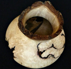LV-345 CA Black Oak Burl Wood Turned Footed Vase, Hollow Form with Natural Edge