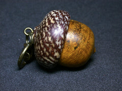 LV-1298 Agarita Burl & Betel Nut Acorn Box, Keychain, Pill Fob, Lucky Charm-SCREW CAP