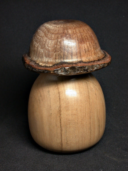 Oak Wood Mushroom Knife & Brush Gift Box Set – JP General