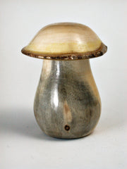LV-1427 New Zealand Tarata Mushroom Shaped Trinket Box, Toothpick Holder, Jewelry Box-SCREW CAP