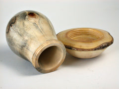 LV-1427 New Zealand Tarata Mushroom Shaped Trinket Box, Toothpick Holder, Jewelry Box-SCREW CAP