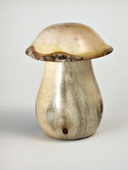 LV-1427 New Zealand Tarata Mushroom Shaped Trinket Box, Toothpick Holder, Jewelry Box-SCREW CAP