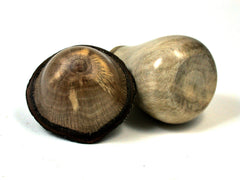 LV-1651 Holly & Live Oak Wooden Mushroom Trinket Box, Pill, Jewelry Box-SCREW CAP