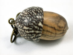 LV-1698 Chinese Pistachio and Betelnut Acorn Key Fob, Pill Holder, Cash Stash-SCREW CAP