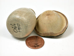 LV-1910 Holly & Oak Wooden Mushroom Threaded Trinket Box, Pill, Jewelry Box-SCREW CAP