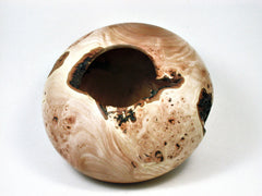 LV-1956 California Wild Lilac Burl  Wood Turned Pot, Hollow Form, Vase with Natural Edge & Void