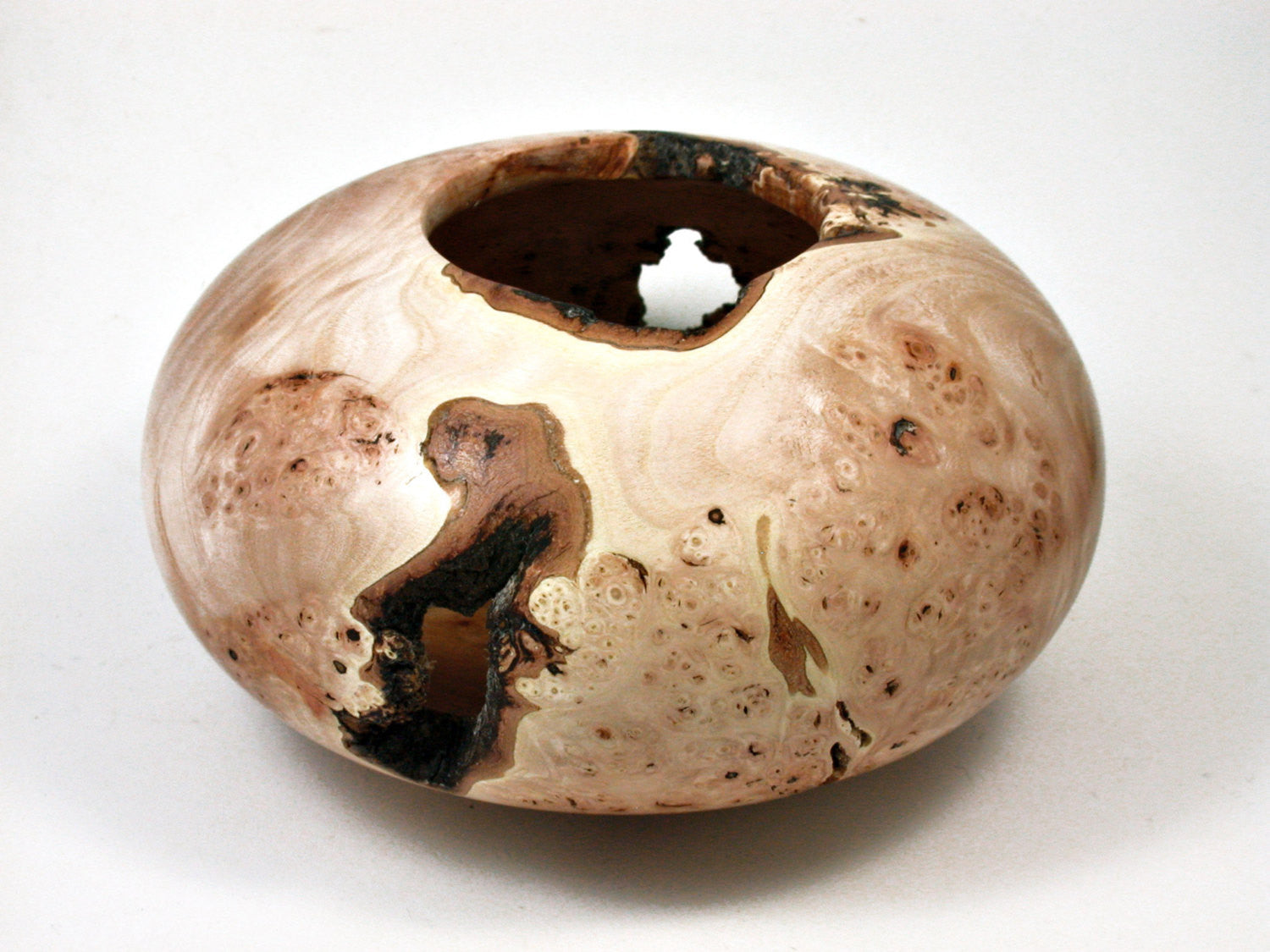 LV-1956 California Wild Lilac Burl Wood Turned Pot, Hollow Form, Vase with Natural Edge & Void