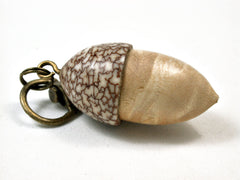 LV-1976 Acorn Pendant Box, Charm, Pill Holder from Box Elder Burl & Christmas Palm Nut-SCREW CAP