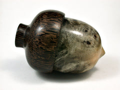 LV-1977 Buckeye Burl & Black Palm Acorn Jewelry Box, Pill Box, Trinket Box-SCREW CAP