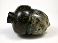 LV-1977 Buckeye Burl & Black Palm Acorn Jewelry Box, Pill Box, Trinket Box-SCREW CAP