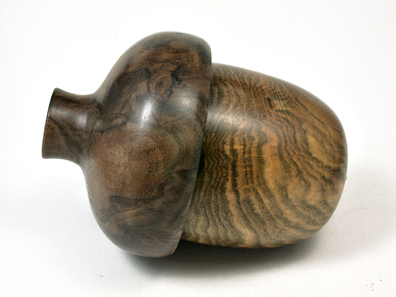 LV-1998 Wooden Acorn Box from Pistachio & Black Walnut Burl -LARGE